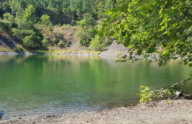 Apartment in Wildemann Near Harz Forest - Foto 28