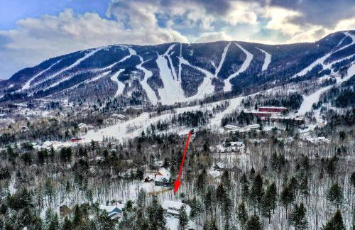 Moose Lodge - Foto 52