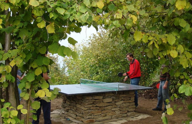 Apartment in Bonvicino CN - Foto 10