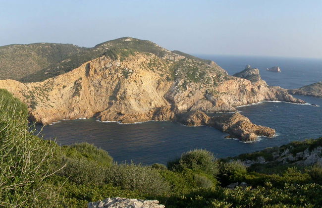 Cabrera Island Boat Tour - Foto 1