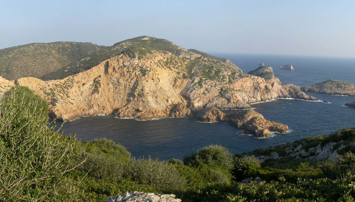 Cabrera Island Boat Tour - Foto 1