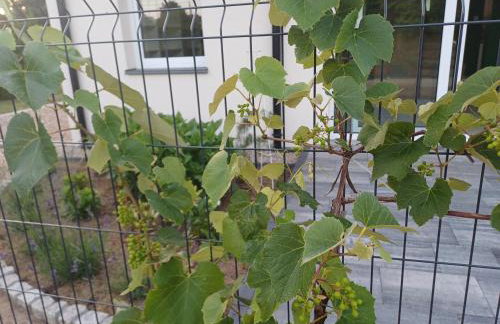 Willa Przygoda - Photo 17