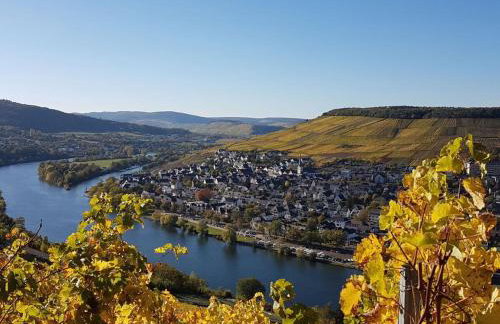 "moseltor" Comfortable Holiday Residence - Foto 71