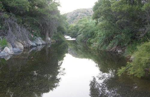 Parque Botanico Resort & Country Club - Photo 77