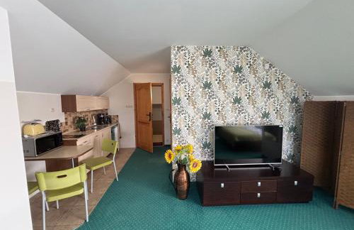 Apartamenty LeVilla - Photo 8