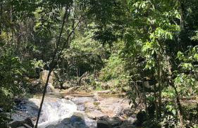 Quinta da Bocaina - Foto 49