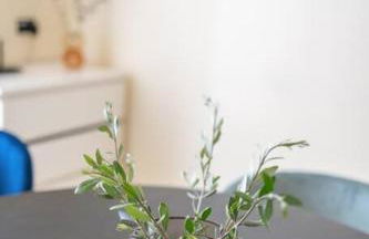 Casa del Vince - Foto 16