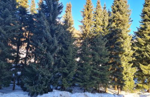 Haus Enere Au FeWo Antonia und FeWo Milan - Foto 24