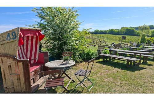 Obst- und Weingut Ingenhof - Foto 7