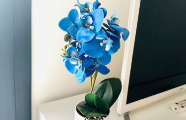 Blue Orchid Apartment, IUN S8460 - Foto 46