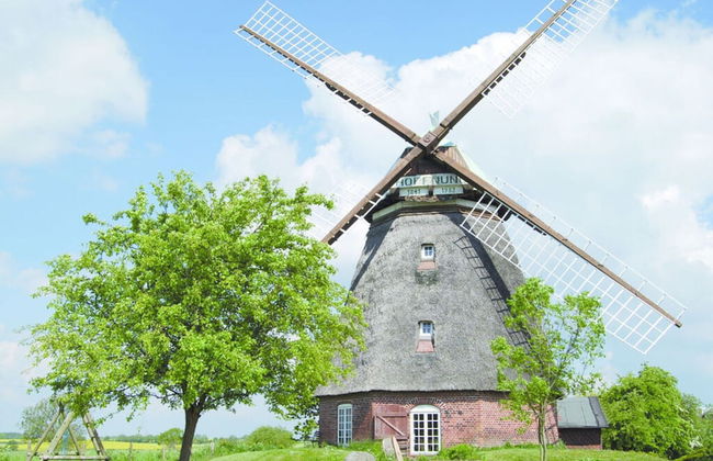 Honer Country House - Foto 39