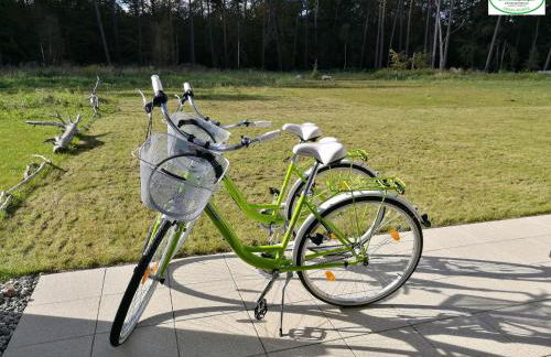 Ostsee-Wiesenpieper (Graal-Müritz) - Foto 10