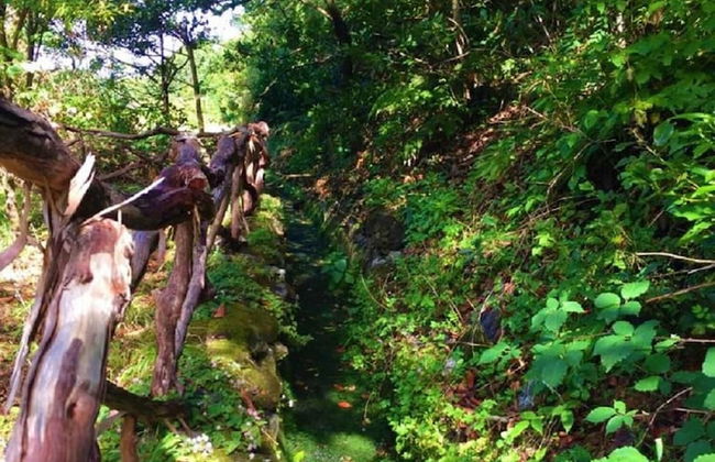 Retiro na Natureza by Homie - Foto 2