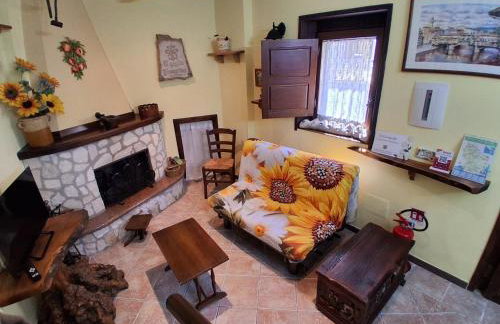 Il girasole - Foto 7