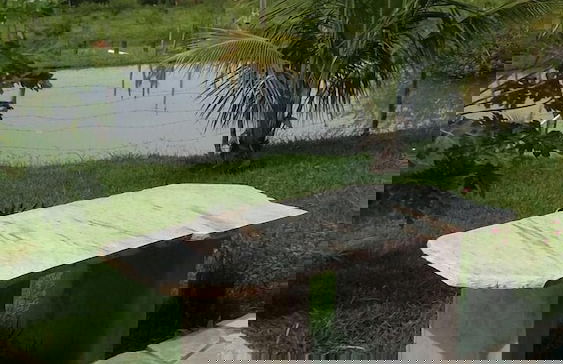 Fazenda Olaria - Photo 10