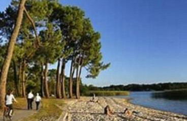 Les Oliviers - Foto 19