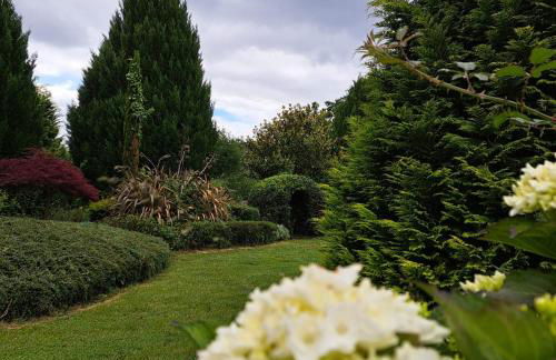 PORTA ESPERANZA - Foto 25