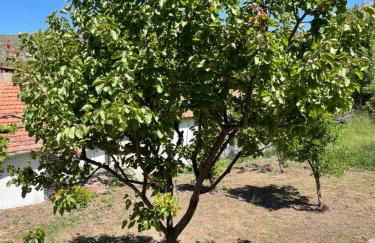 Lila's Guest House - Foto 23