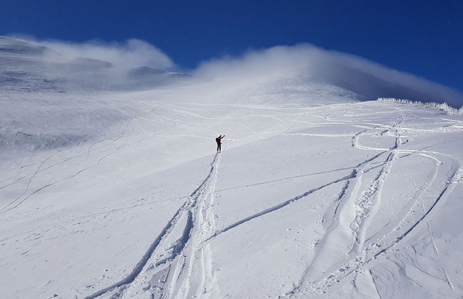 David Suiten - Foto 54