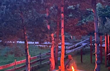 Mazury "Willa Ślimakowo" w Pasymiu - jacuzzi, sauna, pomost, łódka, rower wodny - Photo 40