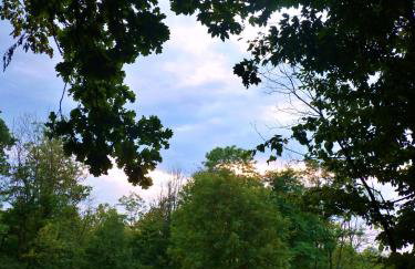 Owczarnia Agroturystyka Ekologiczne Gospodarstwo Owczarskie - Foto 40