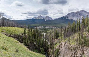 The Yellowstone - Spacious Wapiti Valley Cabin with Stunning Views! - Foto 44