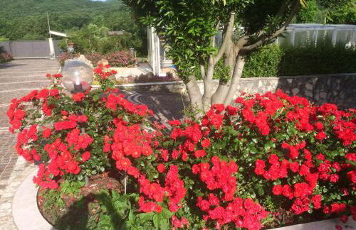 Villa Margherita - Foto 18