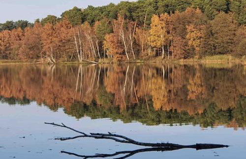 Komfortowy apartament nad Zalewem Sulejowskim - Foto 23