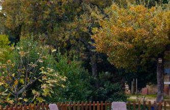 Maison Bleu Avril - Gard - Foto 15