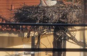 Kofinaki apartment 1 - Tychero Evros - Foto 22