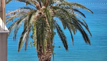 Apartman Graciela Perfect location Gradac - Foto 4