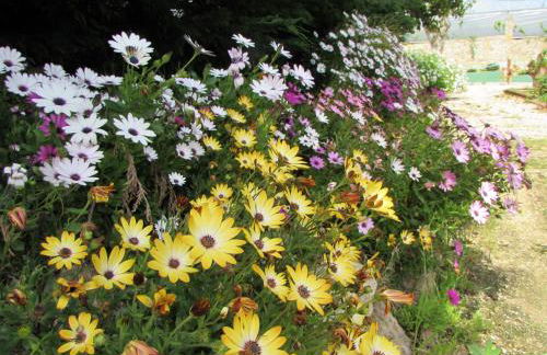 Quinta Sobral Prestige - Little Rustic - Photo 14