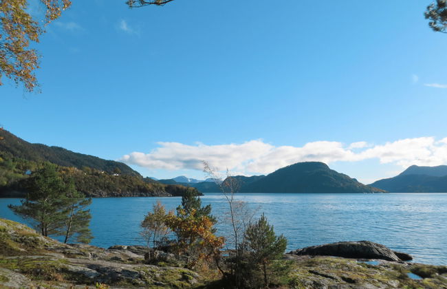 Hjartnesvika - Foto 7