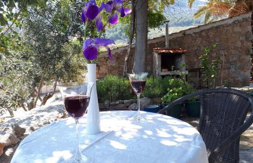 Studio Apartment Mileta - Photo 37