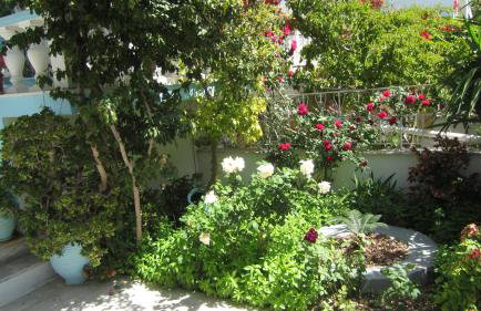 Sandalis Hotel - Foto 11