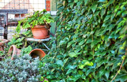 Ferienwohnungen Manfred Peters Baven - Photo 30