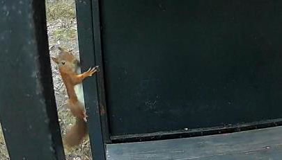 Bus atypique au bord du canal du midi et au cœur d'une forêt 2 chambres - Foto 2