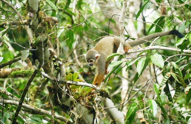 Tingana Nature Reserve Private Day Trip - Photo 3