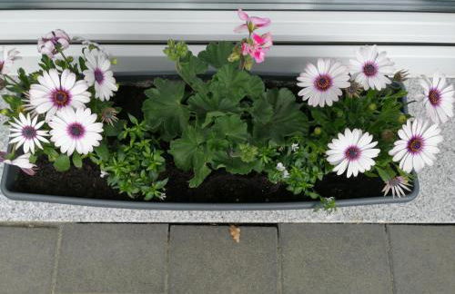 Ferienwohnung Blumenparadies - Foto 22