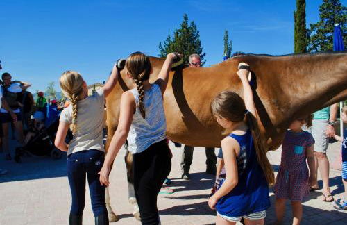 Agriturismo Biologico Diacceroni - Foto 72