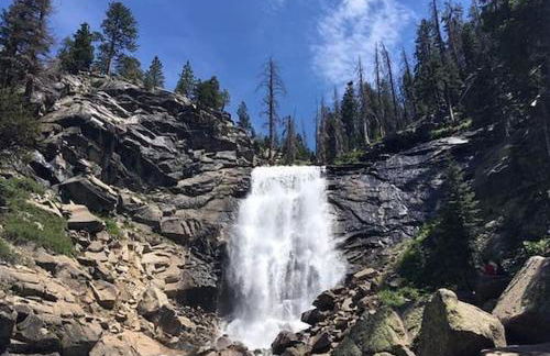 Creekside Cabin - Pup-Friendly with AC - Foto 63