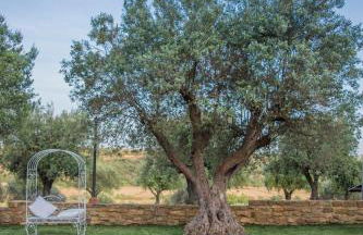 Villa D'Andrea - Foto 18