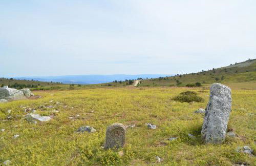 Gite Mont Lozère - Foto 47