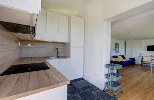 La Loge des Volcans - Vue Puy De Dôme - Foto 18