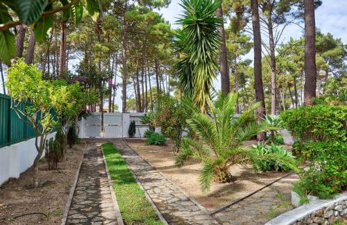 Verdizela Pool & Garden - Foto 7