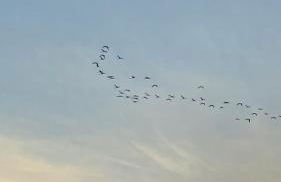 Casita Lopez Holiday House - Foto 14