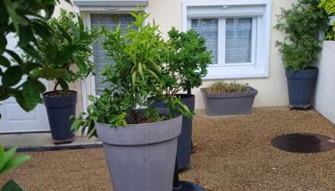 Superbe appartement à la campagne - Photo 5