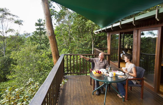 Rose Gums Wilderness Retreat - Foto 18