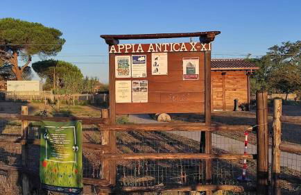 Sunflower Terrace - Rome and Castelli Romani - Foto 32