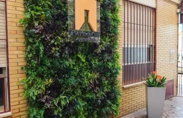 Apartamentos Puerta del Sur - Foto 12